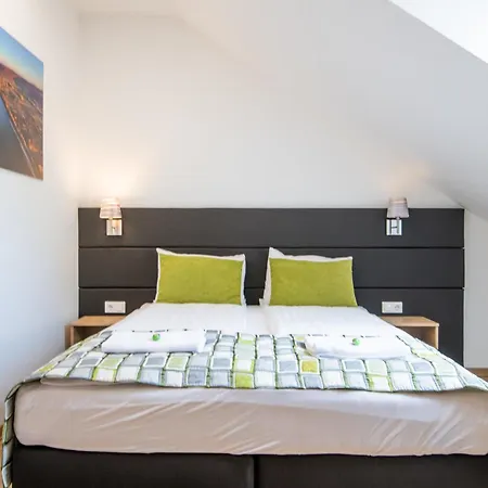 Anna Vendeghaz 招待所