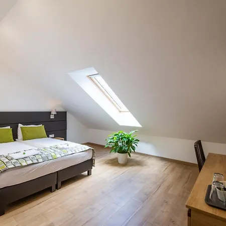 招待所 Anna Vendeghaz