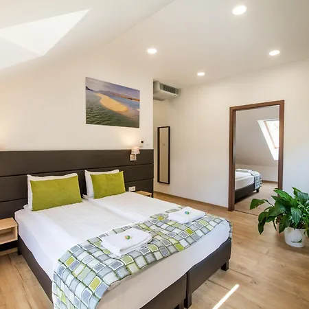 招待所 Anna Vendeghaz 3*