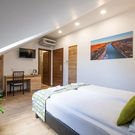 Anna Vendeghaz 招待所 维谢格拉德